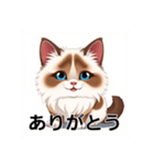 ペットの可愛いヒマラヤン（個別スタンプ：14）