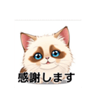 ペットの可愛いヒマラヤン（個別スタンプ：15）