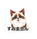 ペットの可愛いヒマラヤン（個別スタンプ：16）