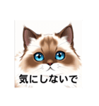 ペットの可愛いヒマラヤン（個別スタンプ：17）
