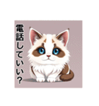ペットの可愛いヒマラヤン（個別スタンプ：19）
