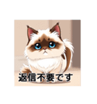 ペットの可愛いヒマラヤン（個別スタンプ：21）