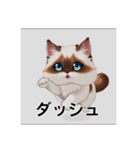 ペットの可愛いヒマラヤン（個別スタンプ：22）