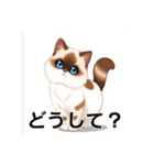 ペットの可愛いヒマラヤン（個別スタンプ：25）