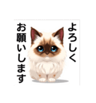 ペットの可愛いヒマラヤン（個別スタンプ：26）