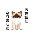ペットの可愛いヒマラヤン（個別スタンプ：27）