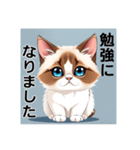 ペットの可愛いヒマラヤン（個別スタンプ：28）