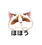 ペットの可愛いヒマラヤン（個別スタンプ：31）