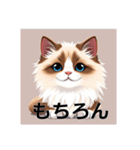 ペットの可愛いヒマラヤン（個別スタンプ：33）