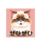 ペットの可愛いヒマラヤン（個別スタンプ：34）