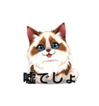 ペットの可愛いヒマラヤン（個別スタンプ：35）