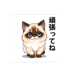 ペットの可愛いヒマラヤン（個別スタンプ：36）
