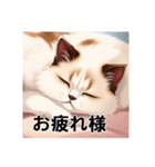 ペットの可愛いヒマラヤン（個別スタンプ：38）