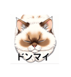 ペットの可愛いヒマラヤン（個別スタンプ：39）