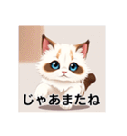 ペットの可愛いヒマラヤン（個別スタンプ：40）