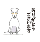 京子さんの息子は身長193cmです（個別スタンプ：14）