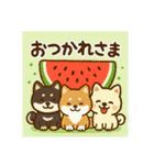 日本犬と四季の癒し系スタンプ（個別スタンプ：1）