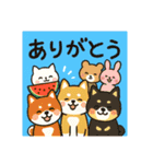 日本犬と四季の癒し系スタンプ（個別スタンプ：2）