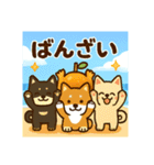 日本犬と四季の癒し系スタンプ（個別スタンプ：8）