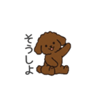 落書き風トイプー ブラウン（日常会話）（個別スタンプ：4）