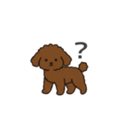 落書き風トイプー ブラウン（日常会話）（個別スタンプ：7）
