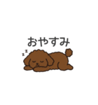 落書き風トイプー ブラウン（日常会話）（個別スタンプ：10）