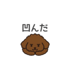 落書き風トイプー ブラウン（日常会話）（個別スタンプ：15）