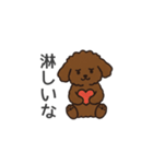 落書き風トイプー ブラウン（日常会話）（個別スタンプ：16）