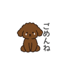 落書き風トイプー ブラウン（日常会話）（個別スタンプ：20）