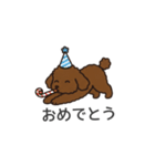 落書き風トイプー ブラウン（日常会話）（個別スタンプ：22）