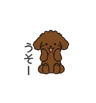 落書き風トイプー ブラウン（日常会話）（個別スタンプ：23）
