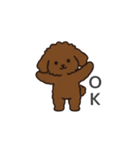 落書き風トイプー ブラウン（日常会話）（個別スタンプ：26）