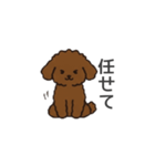 落書き風トイプー ブラウン（日常会話）（個別スタンプ：28）