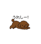 落書き風トイプー ブラウン（日常会話）（個別スタンプ：30）