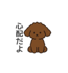 落書き風トイプー ブラウン（日常会話）（個別スタンプ：32）