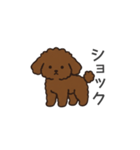 落書き風トイプー ブラウン（日常会話）（個別スタンプ：34）