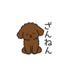 落書き風トイプー ブラウン（日常会話）（個別スタンプ：37）