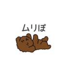 落書き風トイプー ブラウン（日常会話）（個別スタンプ：38）