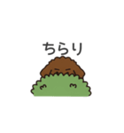 落書き風トイプー ブラウン（日常会話）（個別スタンプ：39）