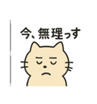 ぶっちゃけネコ（個別スタンプ：22）