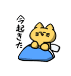 馬鹿な猫さん（個別スタンプ：1）