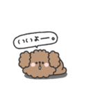 トイプードルさん◎やる気の出ない日 3日目（個別スタンプ：12）