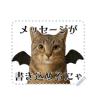 書き込める♥ハロウィンな猫ミーム 改（個別スタンプ：3）