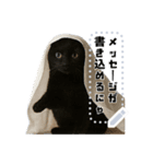 書き込める♥ハロウィンな猫ミーム 改（個別スタンプ：5）