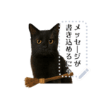 書き込める♥ハロウィンな猫ミーム 改（個別スタンプ：9）