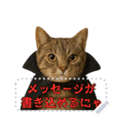 書き込める♥ハロウィンな猫ミーム 改（個別スタンプ：10）