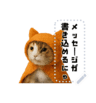書き込める♥ハロウィンな猫ミーム 改（個別スタンプ：12）