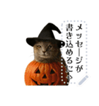 書き込める♥ハロウィンな猫ミーム 改（個別スタンプ：15）
