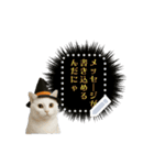 書き込める♥ハロウィンな猫ミーム 改（個別スタンプ：16）