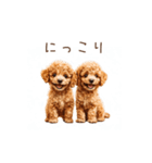 トイプー兄弟、今日も元気！（個別スタンプ：6）